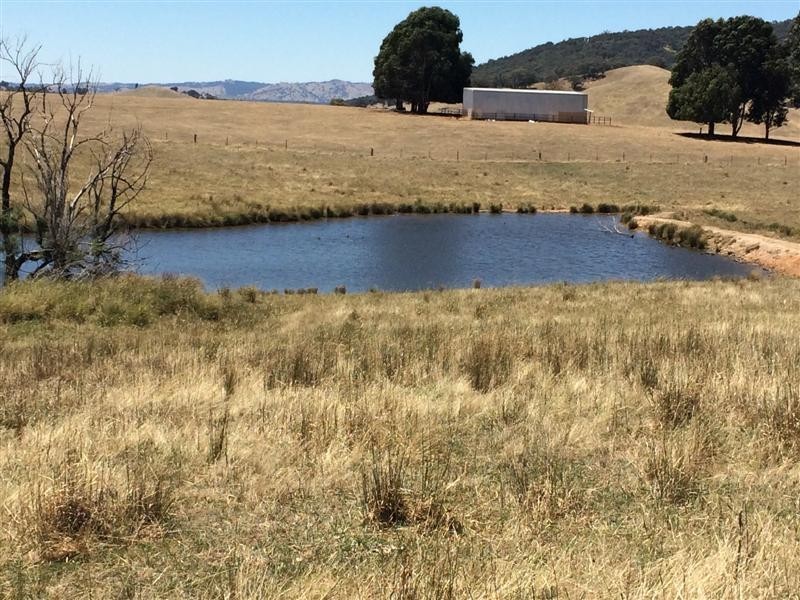 lot 8222 Yaven Creek Road, Adelong NSW 2729