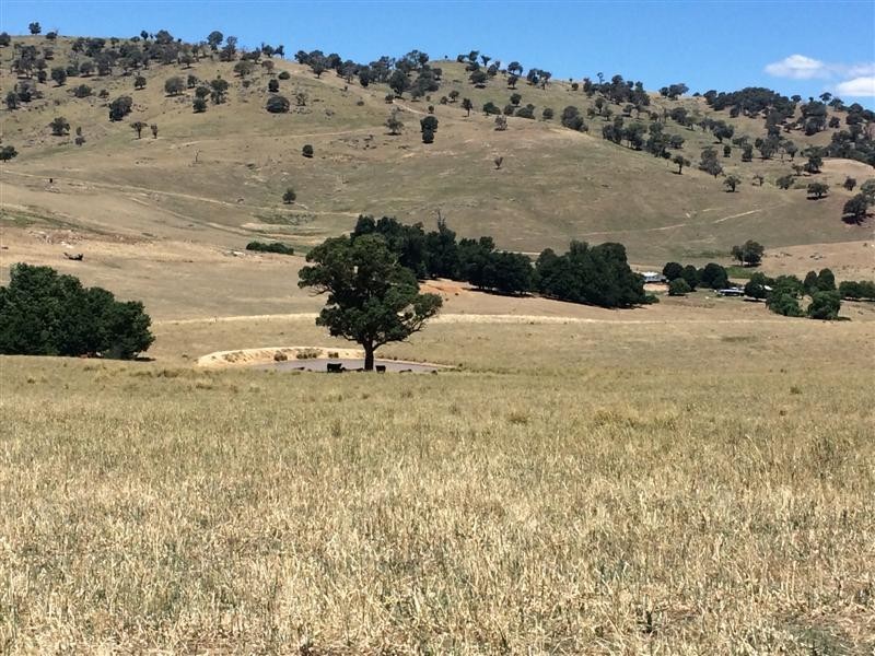 lot 8222 Yaven Creek Road, Adelong NSW 2729