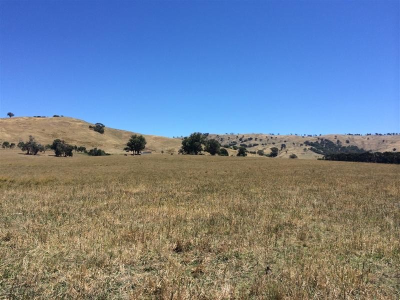 lot 8222 Yaven Creek Road, Adelong NSW 2729