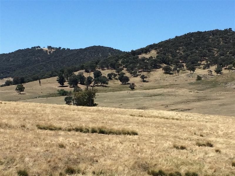 lot 8222 Yaven Creek Road, Adelong NSW 2729