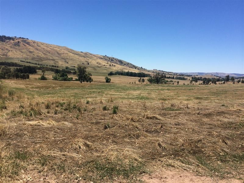 lot 8222 Yaven Creek Road, Adelong NSW 2729