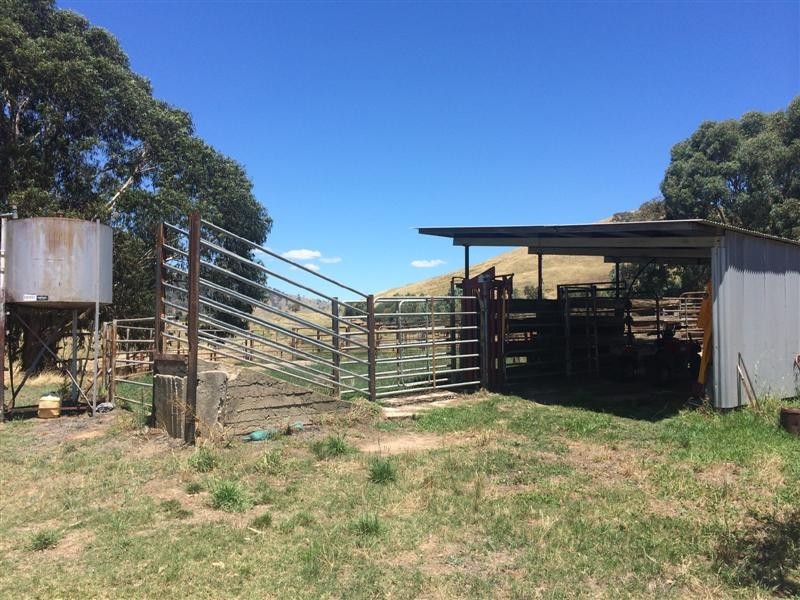 lot 8222 Yaven Creek Road, Adelong NSW 2729