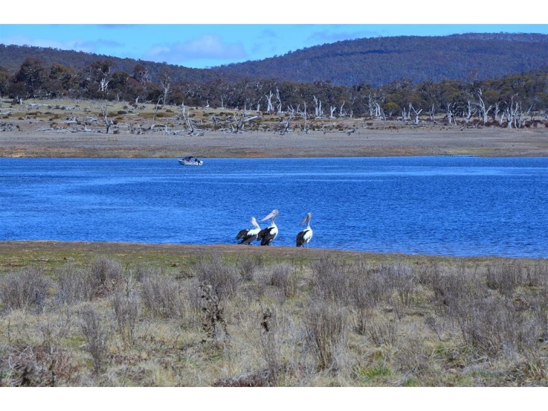 68 Providence Road, Providence Portal NSW 2629