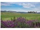 3/13 Grevillea Place, Tumut NSW 2720