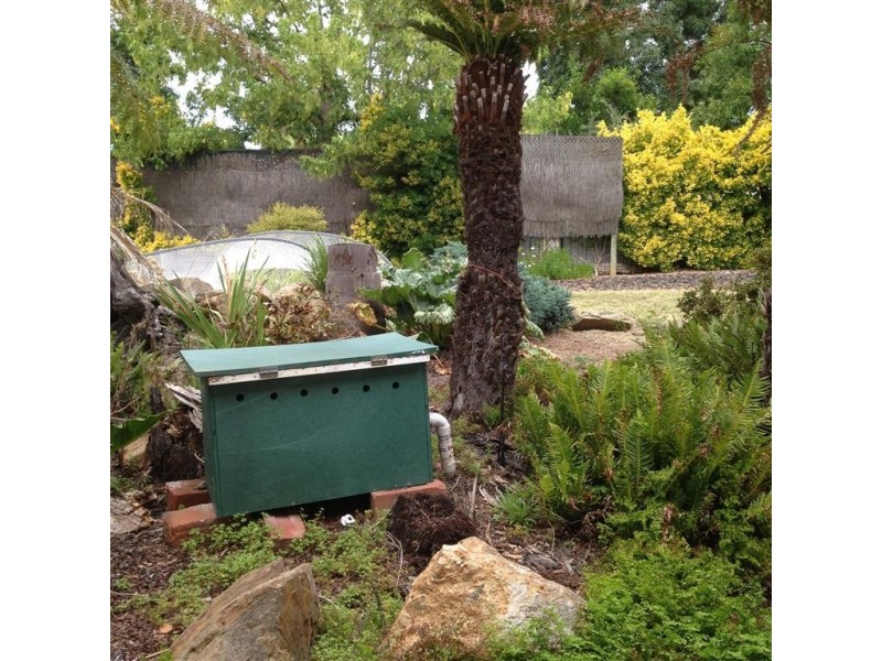 96 Herbert Street, Tumut NSW 2720