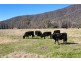 232 East Blowering Road, Jones Bridge, Tumut NSW 2720