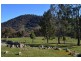 486 Goobarragandra Road, Tumut NSW 2720