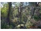 486 Goobarragandra Road, Tumut NSW 2720