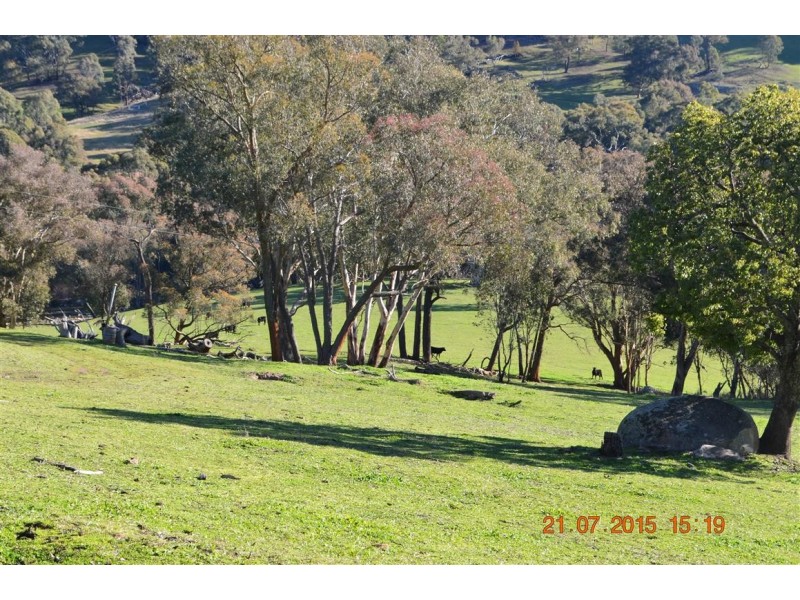 486 Goobarragandra Road, Tumut NSW 2720