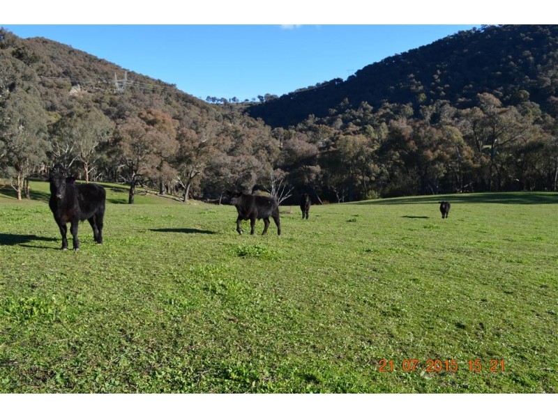 486 Goobarragandra Road, Tumut NSW 2720