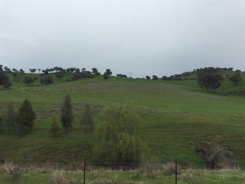 952 Sandy Creek Road, Adelong NSW 2729