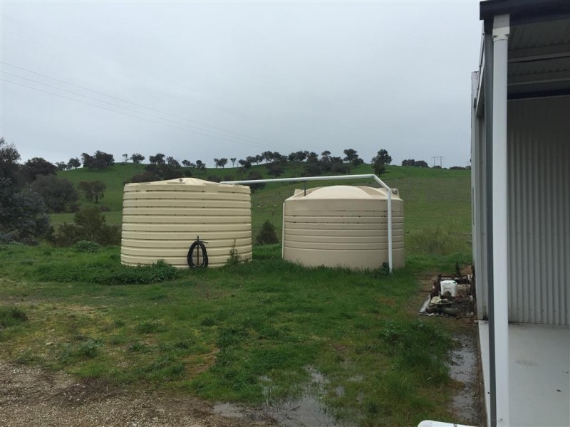 952 Sandy Creek Road, Adelong NSW 2729