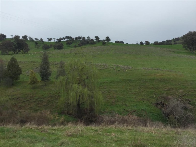 952 Sandy Creek Road, Adelong NSW 2729