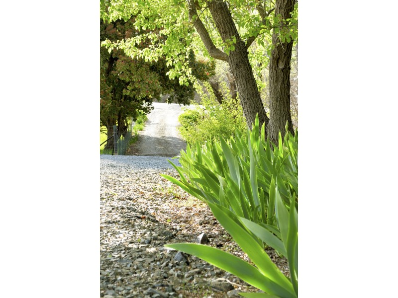 5097 BATLOW ROAD, Tumut NSW 2720