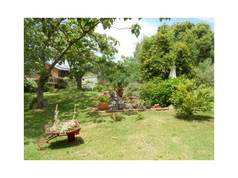9 MOUNTAIN AVENUE, Batlow NSW 2730
