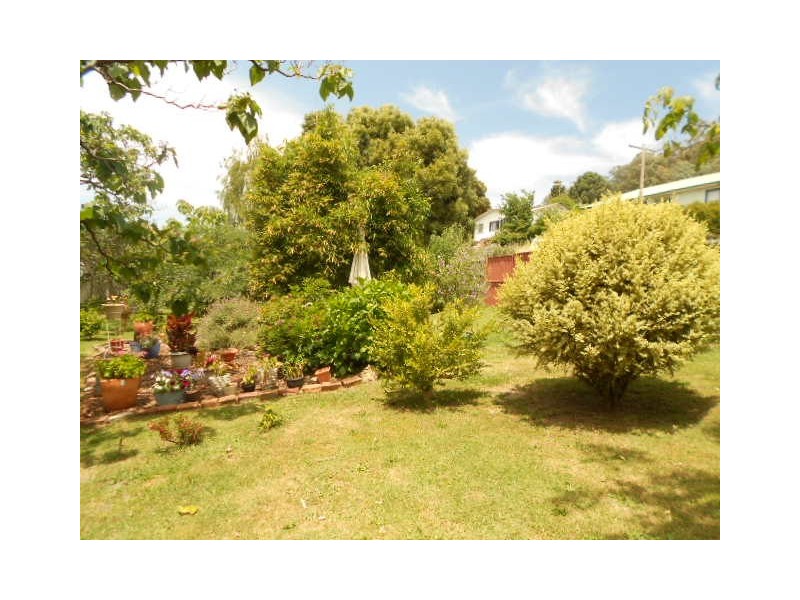 9 MOUNTAIN AVENUE, Batlow NSW 2730