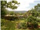 9 MOUNTAIN AVENUE, Batlow NSW 2730