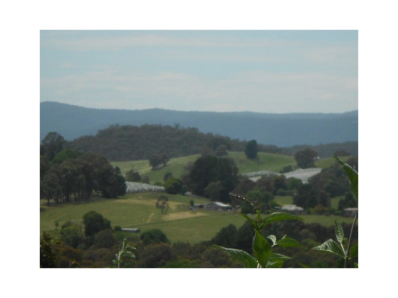 9 MOUNTAIN AVENUE, Batlow NSW 2730