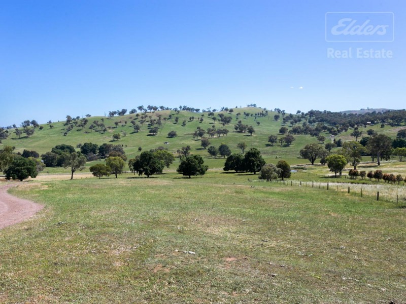 104 Morgans Reserve, Tumut NSW 2720