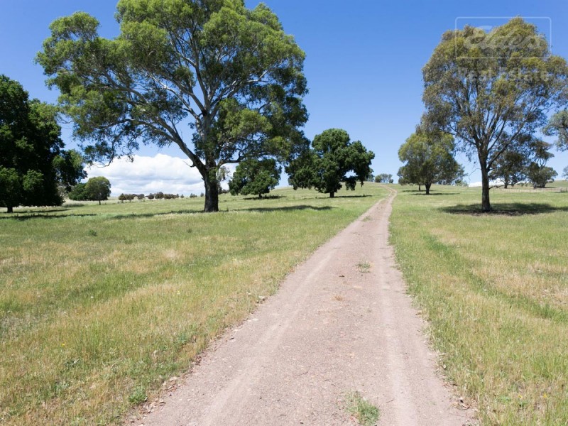 104 Morgans Reserve, Tumut NSW 2720