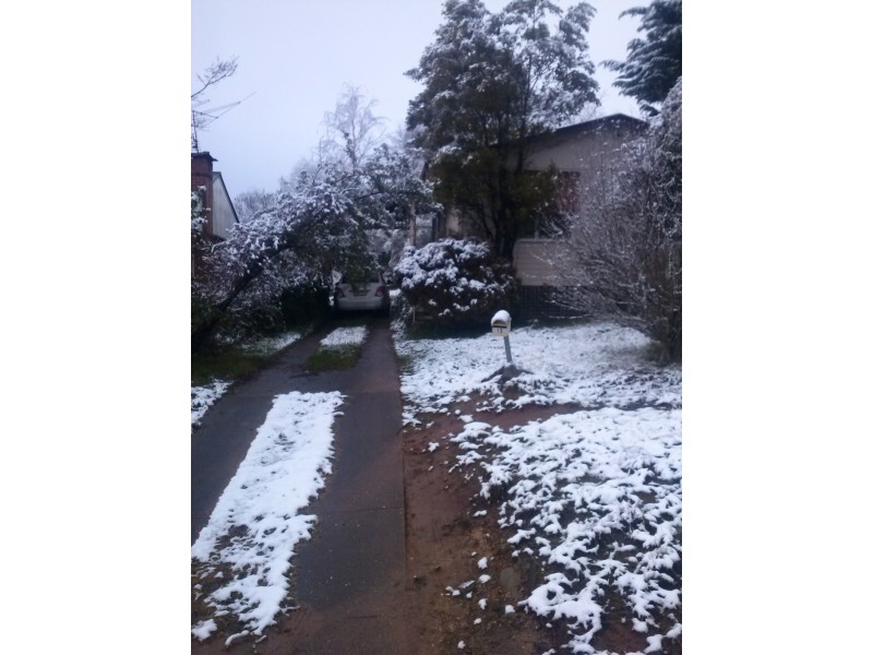 13 Batlow Avenue, Batlow NSW 2730