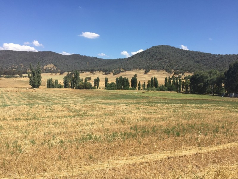 Lot 76 Selwyn Street, Adelong NSW 2729