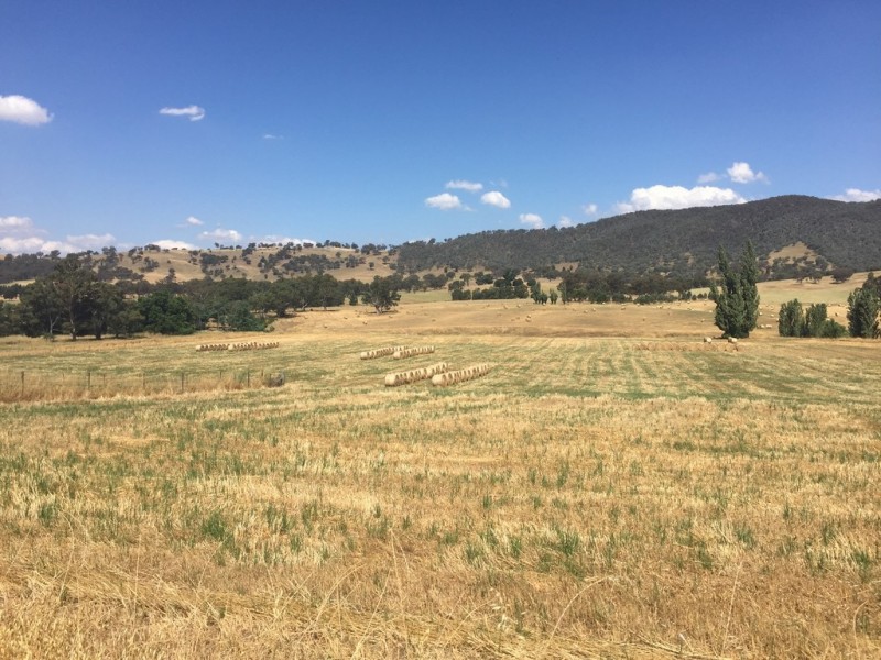Lot 76 Selwyn Street, Adelong NSW 2729