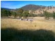 Lot 10 Goobragandra Road, Tumut NSW 2720