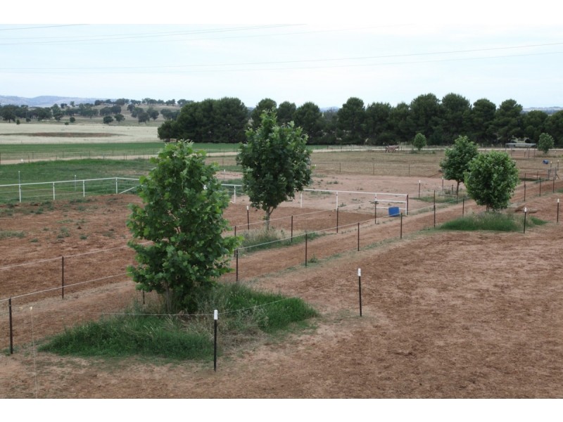 73 MITCHELL ROAD, Lake Albert NSW 2650