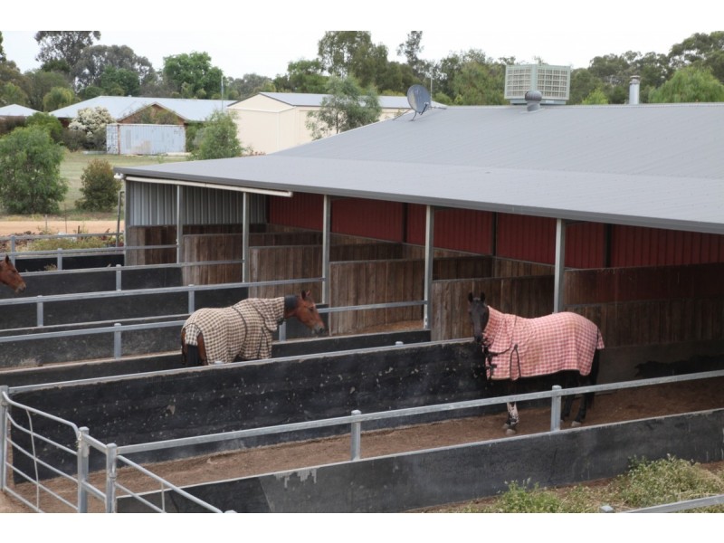 73 MITCHELL ROAD, Lake Albert NSW 2650