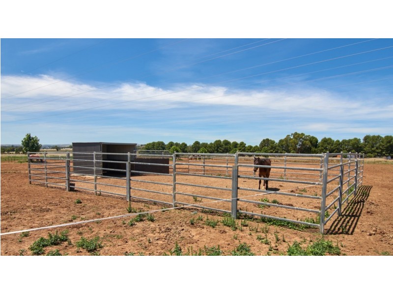 73 MITCHELL ROAD, Lake Albert NSW 2650