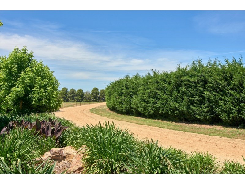 73 MITCHELL ROAD, Lake Albert NSW 2650