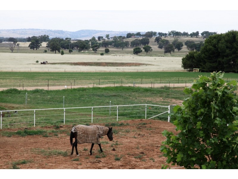 73 MITCHELL ROAD, Lake Albert NSW 2650