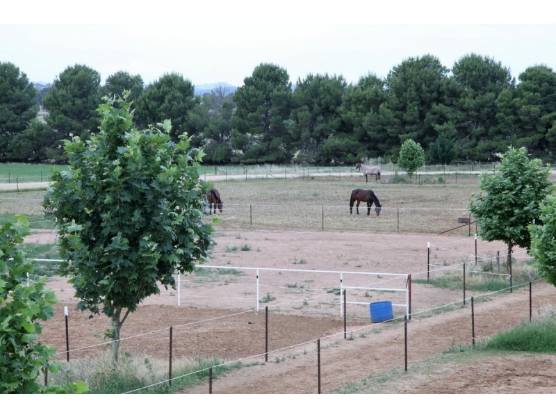 73 MITCHELL ROAD, Lake Albert NSW 2650