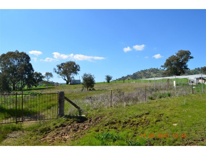 48-51 Adams Street, Brungle NSW 2722