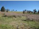 1320 Wondalga Road, Tumut NSW 2720