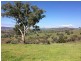 Lot 1 Back Sandy Gully Road, Adelong NSW 2729