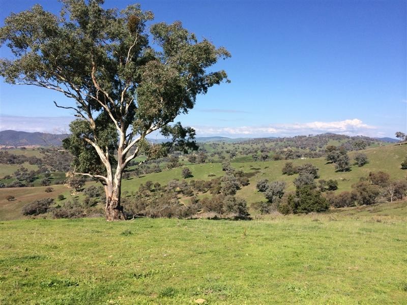 Lot 1 Back Sandy Gully Road, Adelong NSW 2729