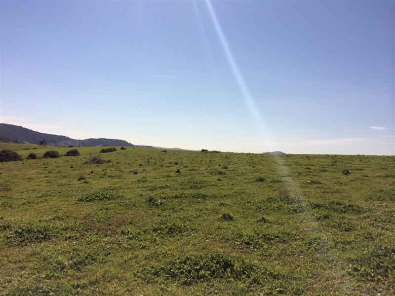 Lot 1 Back Sandy Gully Road, Adelong NSW 2729