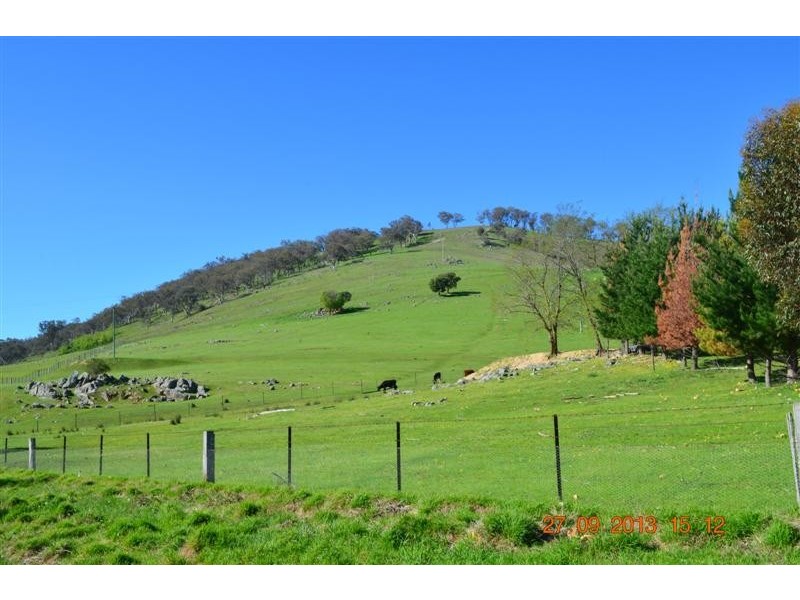 7 Ryans Road, Adelong NSW 2729