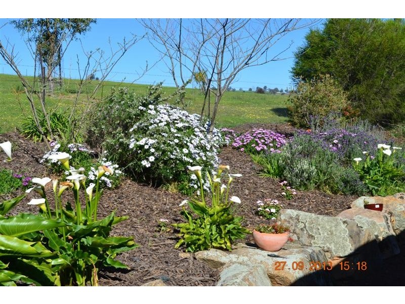 7 Ryans Road, Adelong NSW 2729