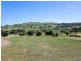 104 Morgans Reserve, Tumut NSW 2720