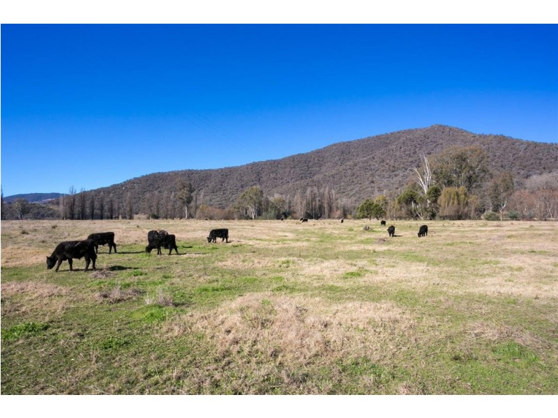 232 East Blowering Road, Jones Bridge, Tumut NSW 2720