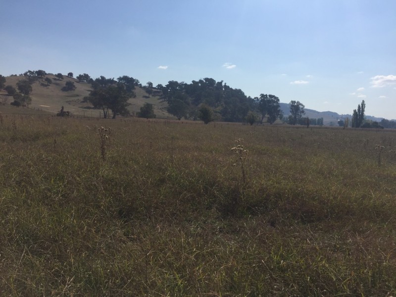 Lots 1 and 2 Mill Road, Tumut NSW 2720