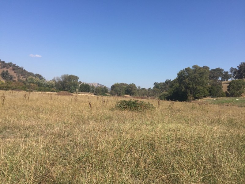 Lots 1 and 2 Mill Road, Tumut NSW 2720