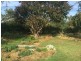 51 TUMUT PLAINS ROAD, Tumut NSW 2720