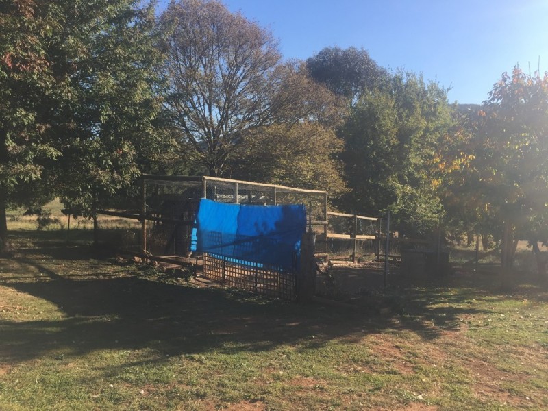 Lot 1 Old Tumbarumba Road, Batlow NSW 2730