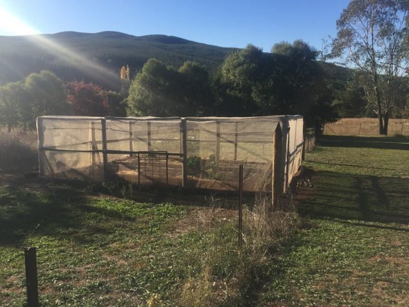 Lot 1 Old Tumbarumba Road, Batlow NSW 2730