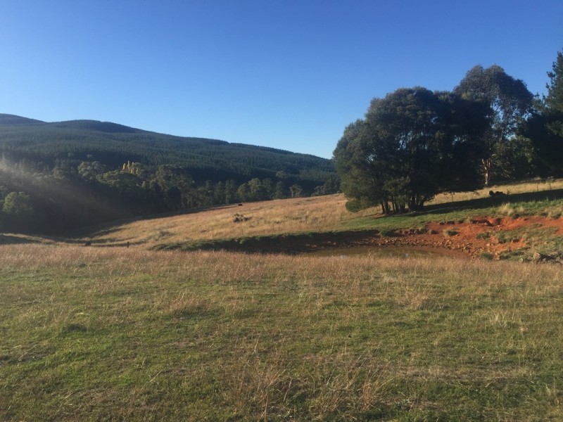 Lot 1 Old Tumbarumba Road, Batlow NSW 2730