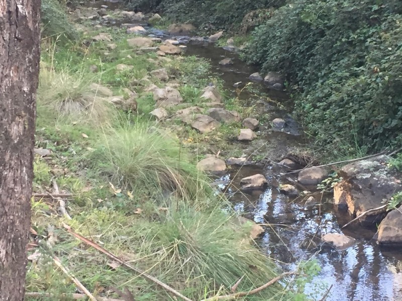 Lot 1 Old Tumbarumba Road, Batlow NSW 2730